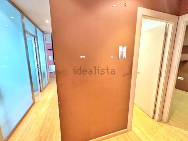 Local, Elda