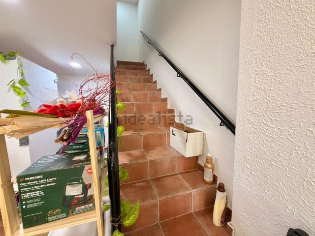 Local, Empuriabrava
