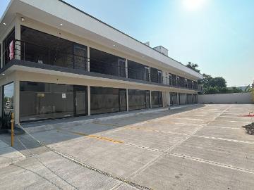 Local en Unidad Nacional