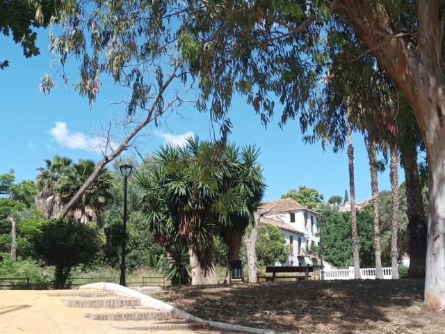 Local en venta en Vélez Málaga Málaga