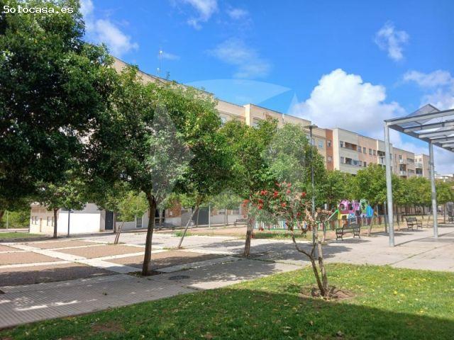 LOCAL EN VENTA EN RONDA SUR