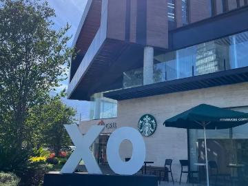 LOCAL EN VENTA RENTADO EN PLAZA XO PARA INVERSIONISTA
