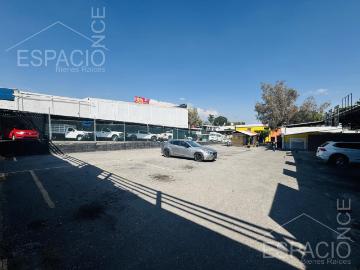 Local en Buenavista