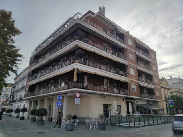 Local en C/ Miguel de Cervantes, Écija Sevilla