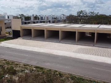Local en Hacienda Xcuyun