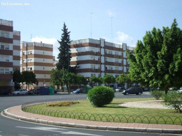 LOCAL EN LA OLIVA