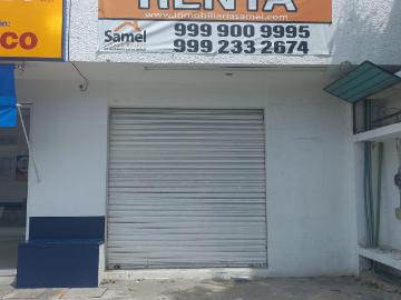 Local en Local #6 de 35 m2 En Avenida Miguel Hidalgo Ruta 5