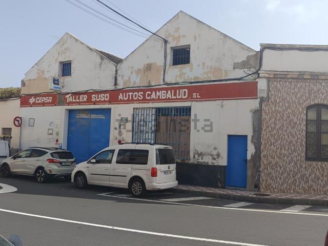 Local, Firgas