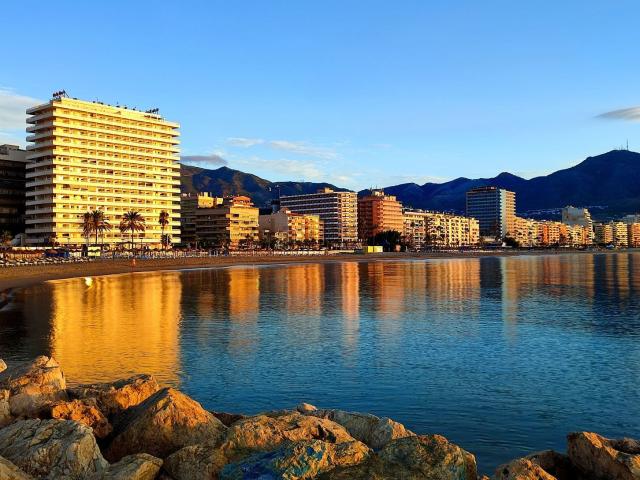 Local, Fuengirola