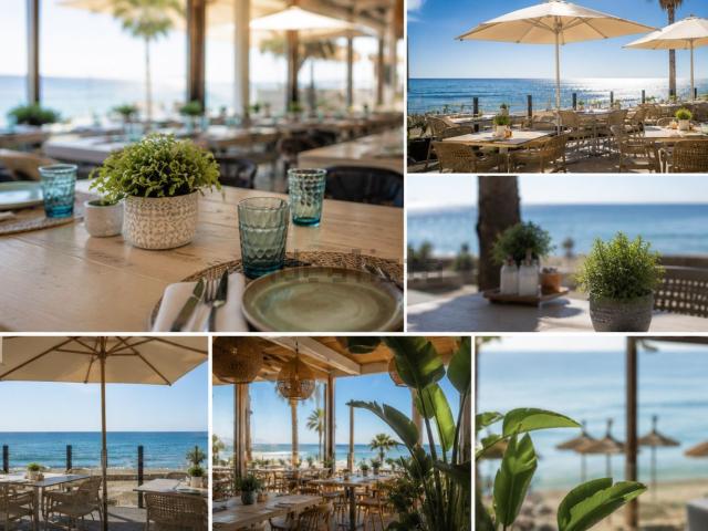 Local, Fuengirola