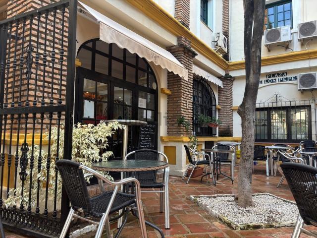 Local, Fuengirola