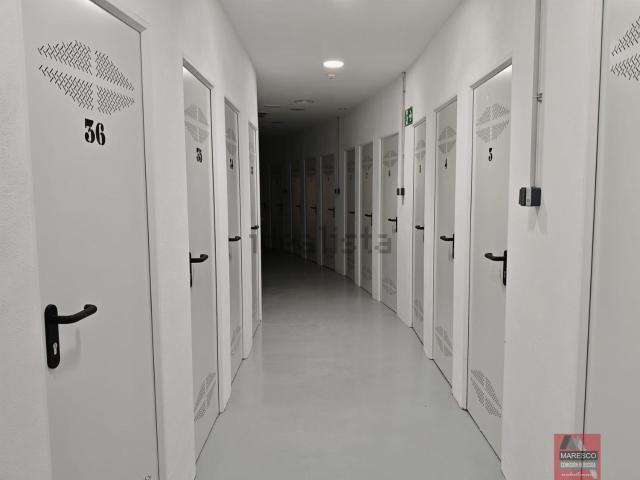 Local, Fuengirola