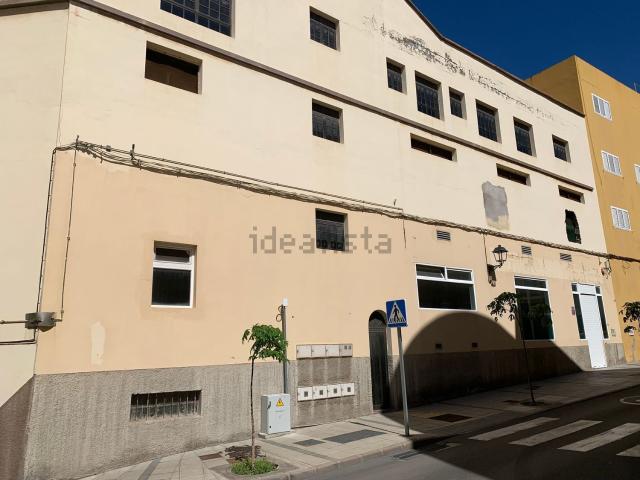 Local, Gáldar