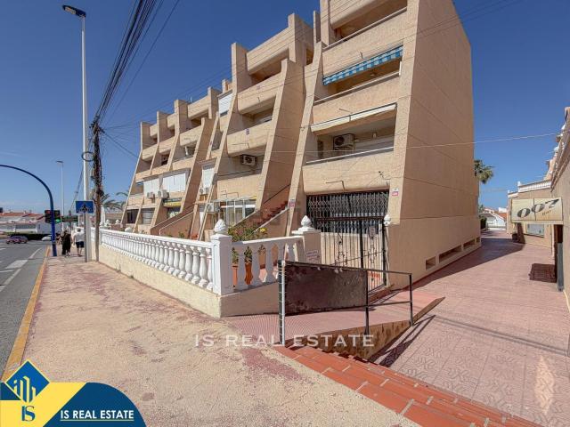 Local, Gaspar Perrelló, Torrevieja