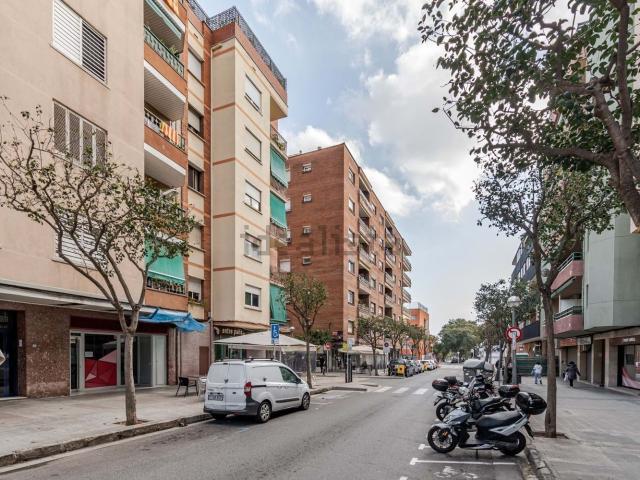 Local, Gavà