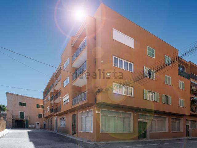 Local, Genova, Palma de Mallorca