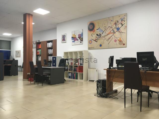 Local, Girona