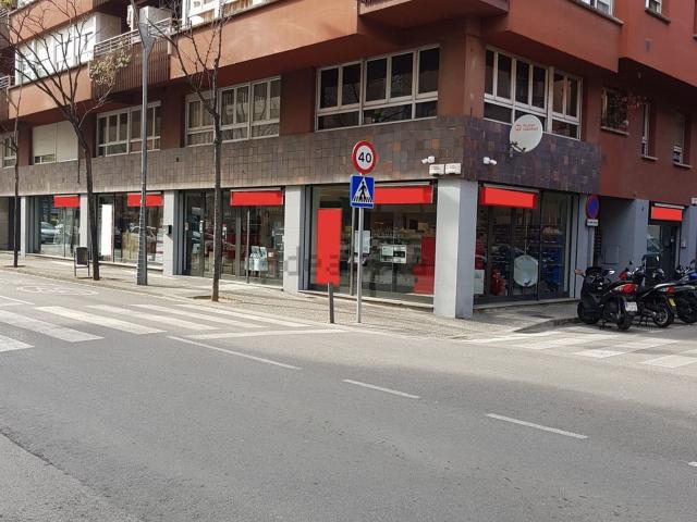 Local, Girona