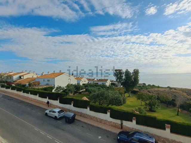 Local, Gran Alacant