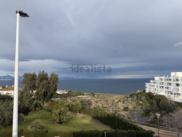 Local, Gran Alacant