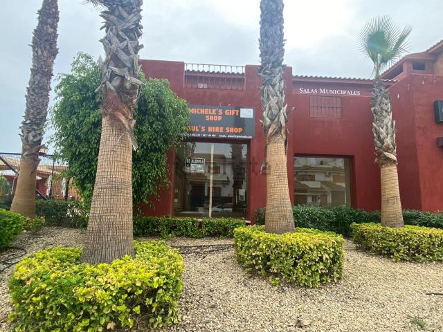 Local, Gran Alacant