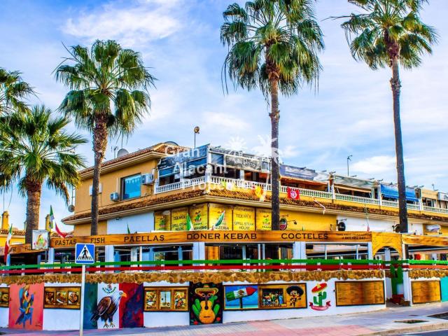 Local, Gran Alacant