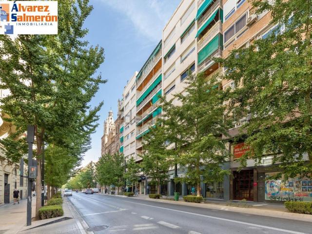 Local, Gran Vía, Granada