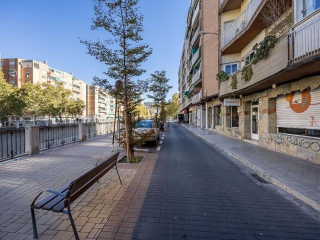 Local, Granada
