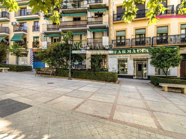Local, Granada