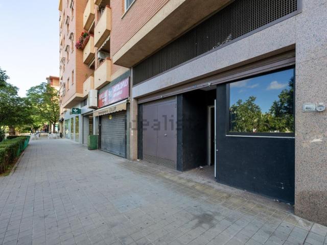 Local, Granada