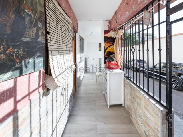 Local, Granada