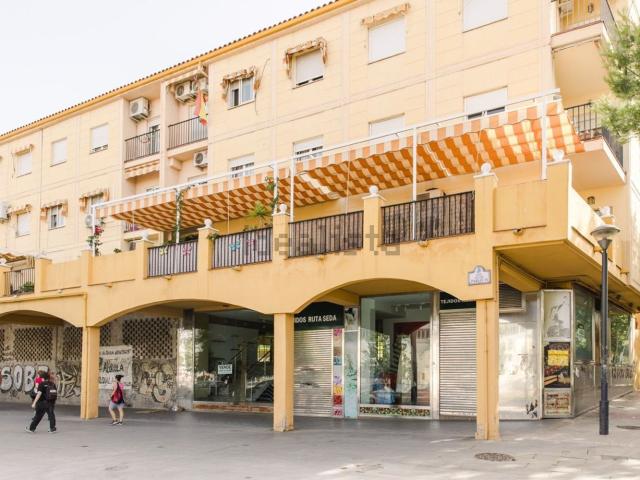 Local, Granada