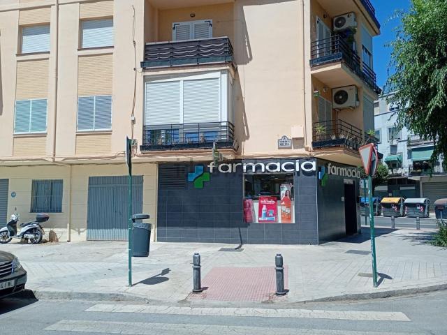 Local, Granada