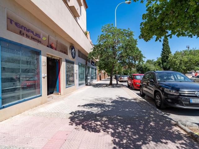 Local, Granada
