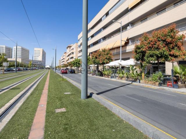 Local, Granada