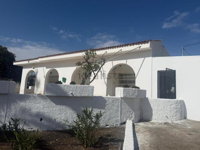 Local, Granadilla de Abona