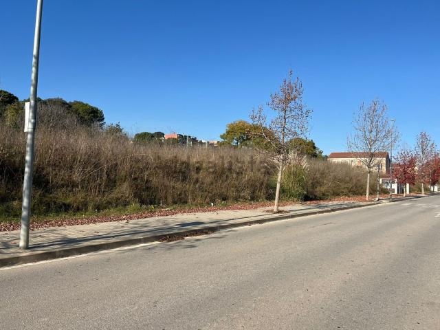 Local, Granollers