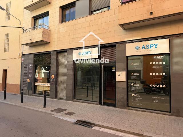 Local, Granollers