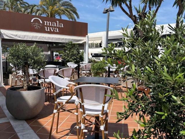 Local, Guadalmina Alta, Marbella