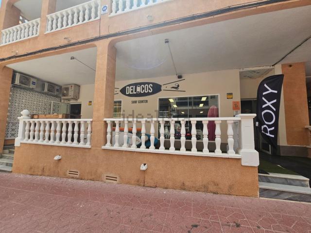 Local, Guardamar del Segura