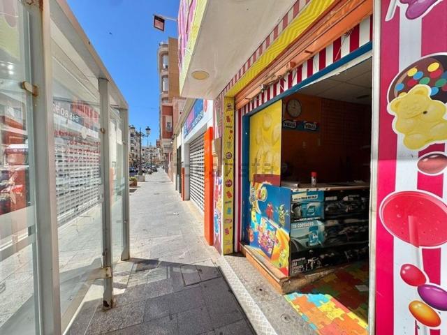 Local, Guardamar del Segura