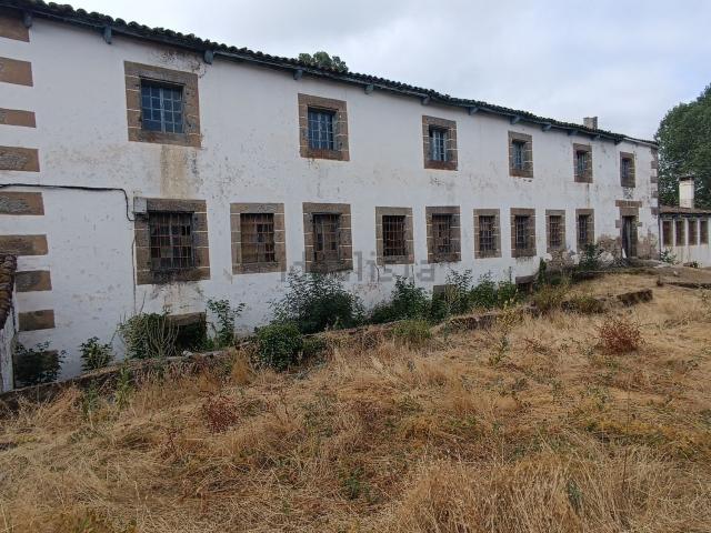 Local, Hervas
