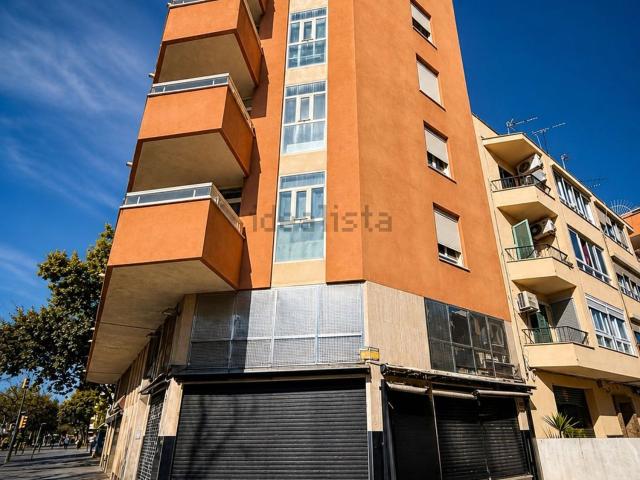 Local, Hostalets Son Fortesa Sud, Palma de Mallorca