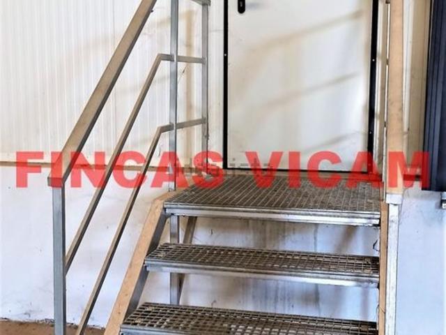 Local, Huesca