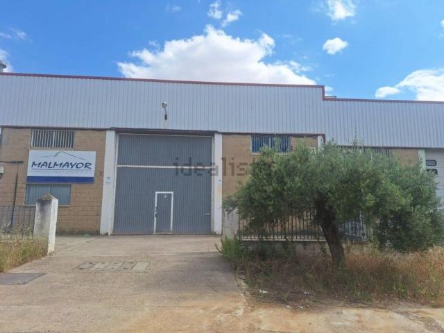 Local, Huesca