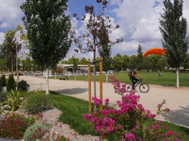 Local, Igualada