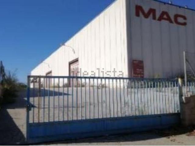 Local, Igualada
