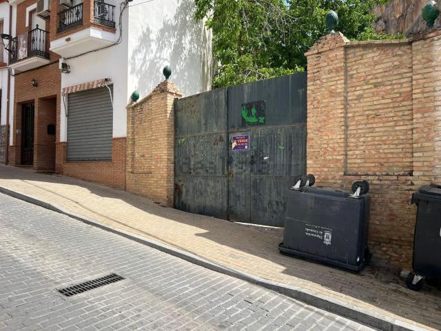 Local, Illora