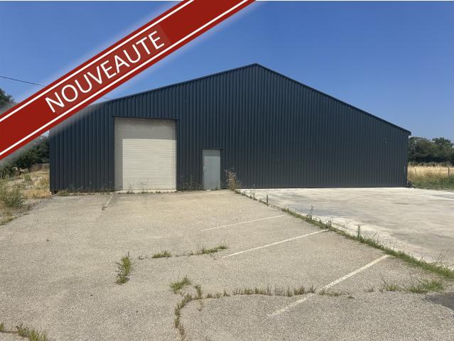 Local Industriel de 981m2, emplacement stratégique exceptio. 951m² Feurs