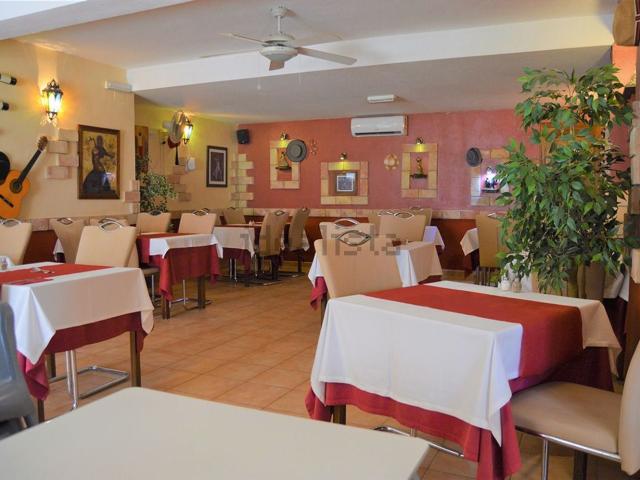 Local, La Veleta, Torrevieja